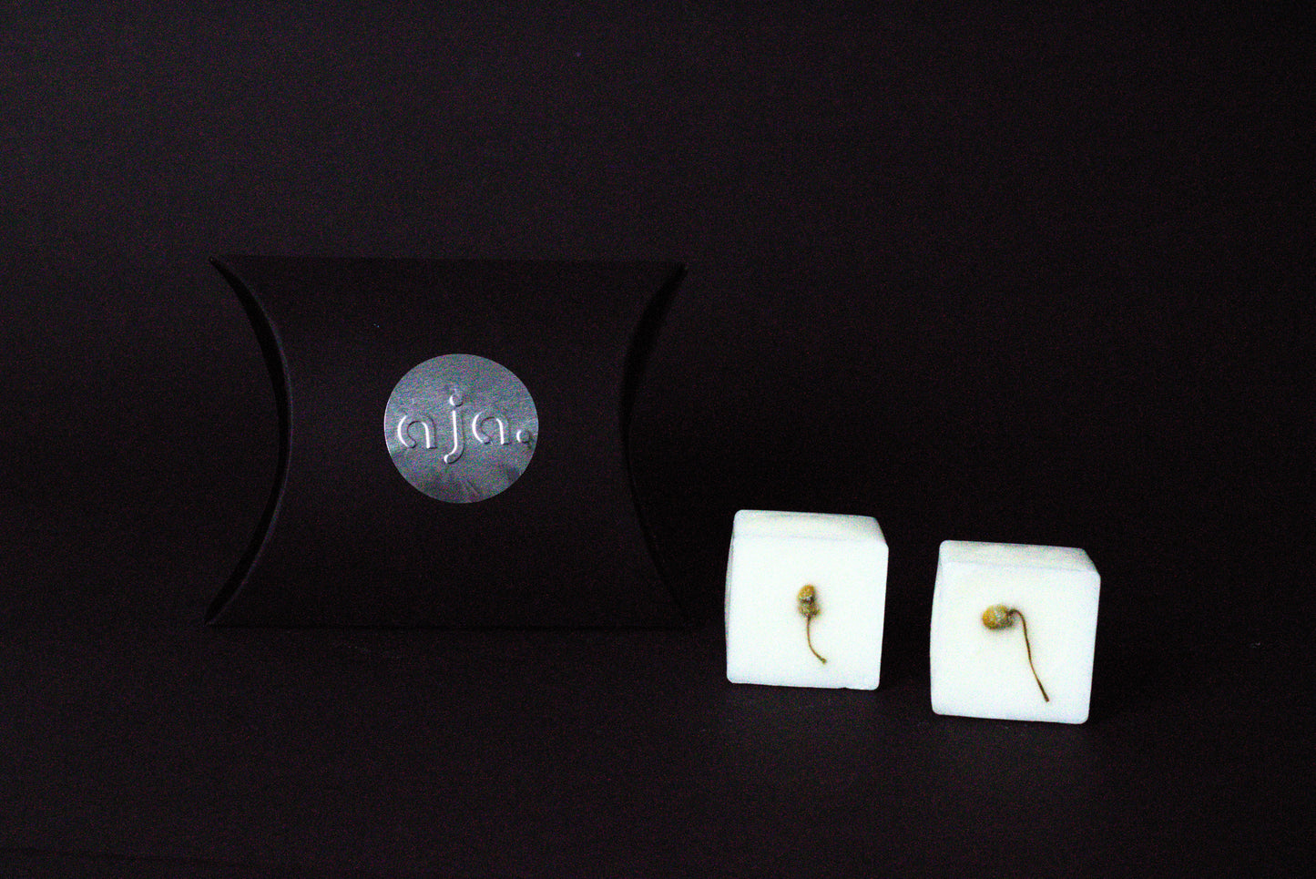 A black pillow box with a circular logo beside two botanical wax melt cubes on a dark background, conveying a minimalist and elegant vibe.

