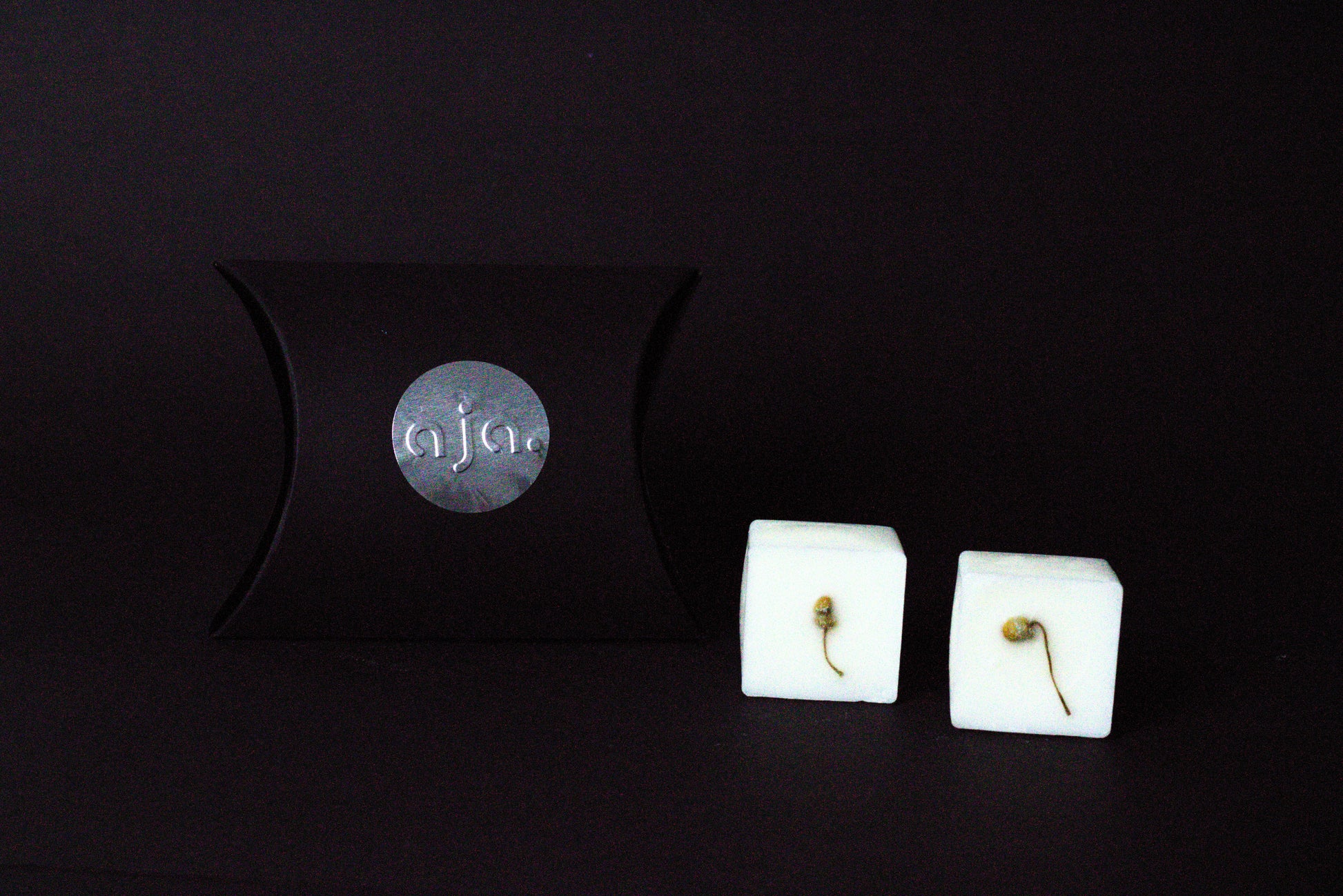 A black pillow box with a circular logo beside two botanical wax melt cubes on a dark background, conveying a minimalist and elegant vibe.

