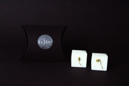 A black pillow box with a circular logo beside two botanical wax melt cubes on a dark background, conveying a minimalist and elegant vibe.
