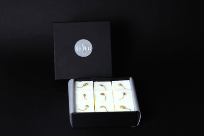 BOX OF 9 BOTANICAL WAX MELTS