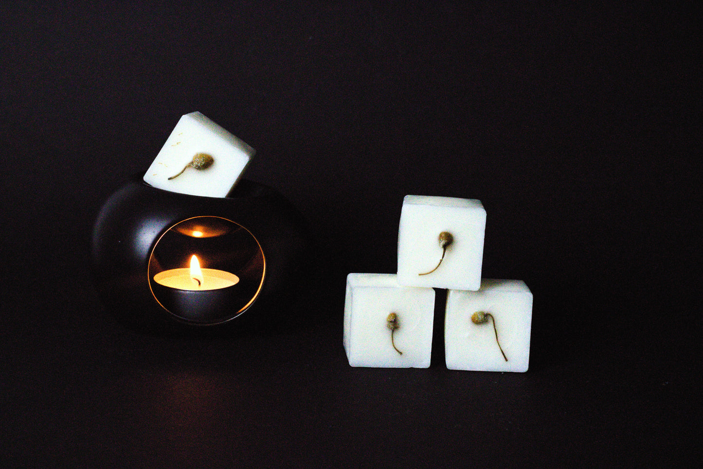 Black candle holder with a lit tealight creates a warm glow. Beside it, three white wax cubes with dried chamomile flower embedded on it