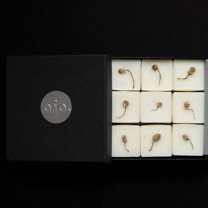 Box of wax melt cubes with botanical flower on top and placed on a black background