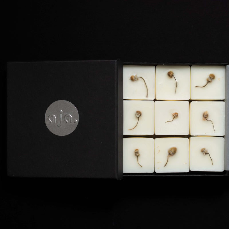Box of wax melt cubes with botanical flower on top and placed on a black background