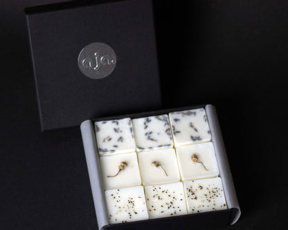 Box of scented wax melts with botanicals on top on a black background