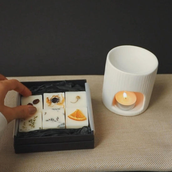 Discovery box wax melts with botanicals on top