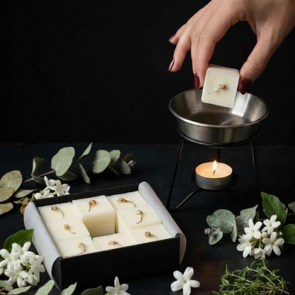 botanical wax melt with fragrance of jasmine, eucalyptus and thyme